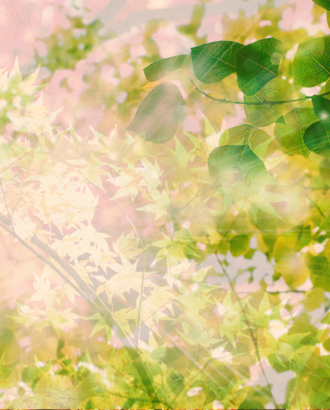 夏